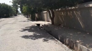 Дехаи Вахдат