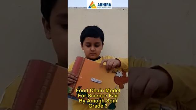 Food Chain Model For Science Fair By Amogh Soni Grade 3 Adhira International School