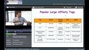 Protein Purification Strategies and Production of Antibodies in Rabbits