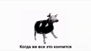 Мем Польская корова танцует под польскую музыку [Оригинал]