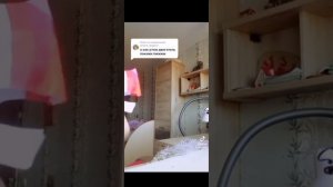 ~°🖤Драконы из тт🖤°~