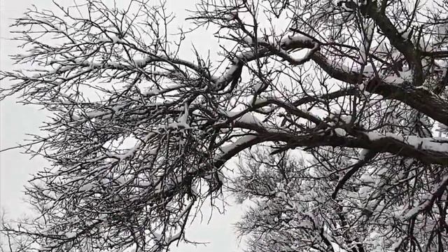 зима бушует смотреть онлайн