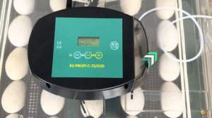 Egg incubator EU PROFI C-72/G-20 | Инкубатор для яиц EU PROFI C-72/G-20