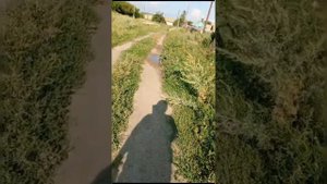 Почти заброшенная деревня Кульма Оренбургская область