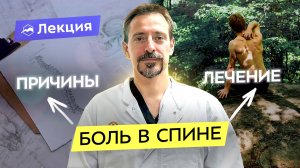 Почему болит спина? Хирург-ортопед о методах лечения грыж и сколиоза