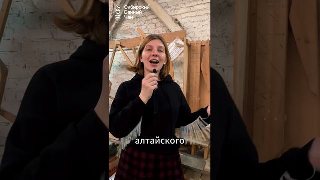 Почему алтайский кедр считается магическим деревом? 🌲