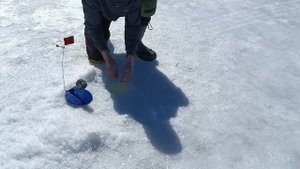 Последний лёд!Один на льду!крупный окунь!закрытие твёрдой воды!