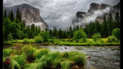 превращение в аниме часть первая