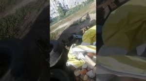 Мотор CATERPILLAR CAT 3116 ЗИЛ СТОЯЛ С ЗАВОДА.