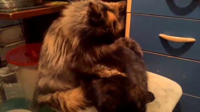 Прогрессивный масаж смотреть онлайн