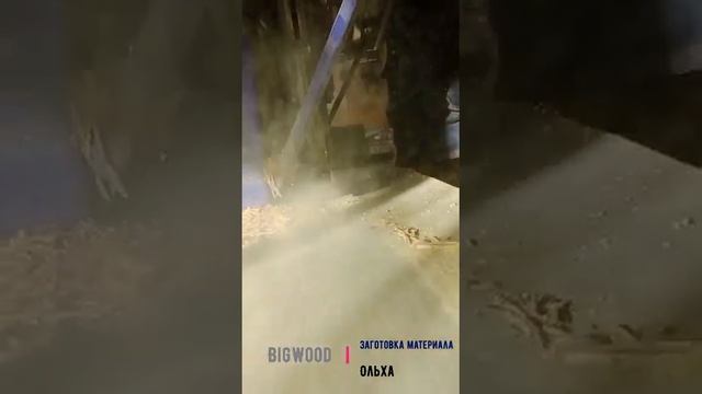Заготовка материала. Ольха. Резьба по дереву. Циркулярка Белмаш Belmash SDM 2500