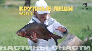 Крупные лещи ч.2 Настины Снасти