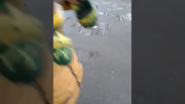 Прогулки. Проверка пятерочки. Серия 2 смотреть онлайн