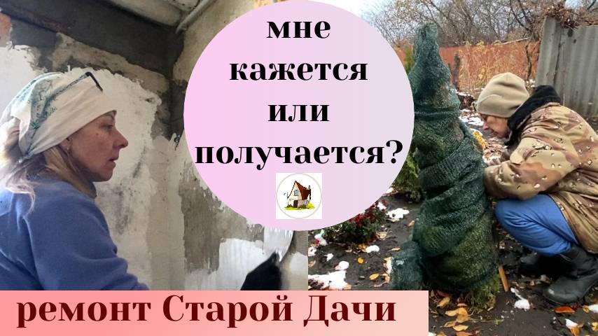 Ремонт Старой Дачи.  Укрываю туи.