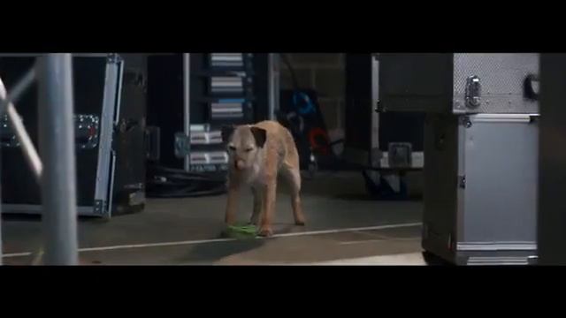 Purina Bakers As good as it looks: Know смотреть онлайн