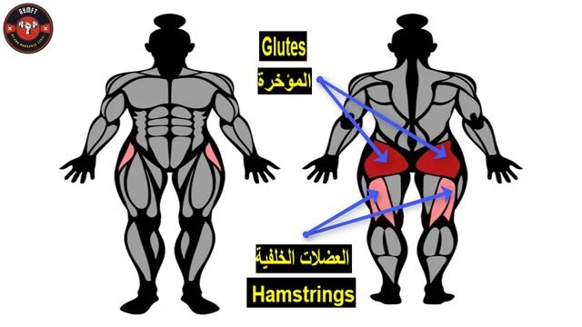 تمارين الجيم في البيت بديل مريح ب9 تمارين فعالة смотреть онлайн