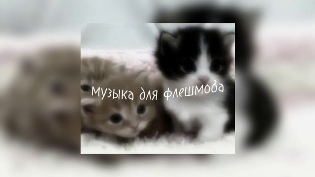МУЗЫКА для ФЛЕШМОБА☆
