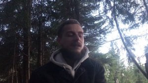 ГРИБНОЙ ТРИП | PINK BUFFALO