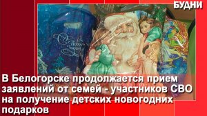 Около полутысячи заявок на новогодние подарки детям участников СВО уже поступили