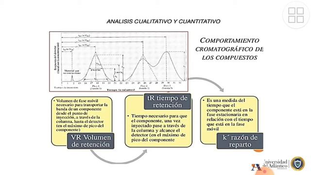 CROMATOGRAFIA DE GASES PARTE 1 смотреть онлайн