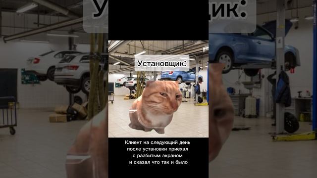 #shorts #мем смотреть онлайн