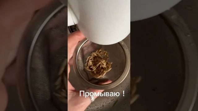 А вы как проращиваете зерна? #кормлениепопугая #зерно #пп #полезная_еда смотреть онлайн