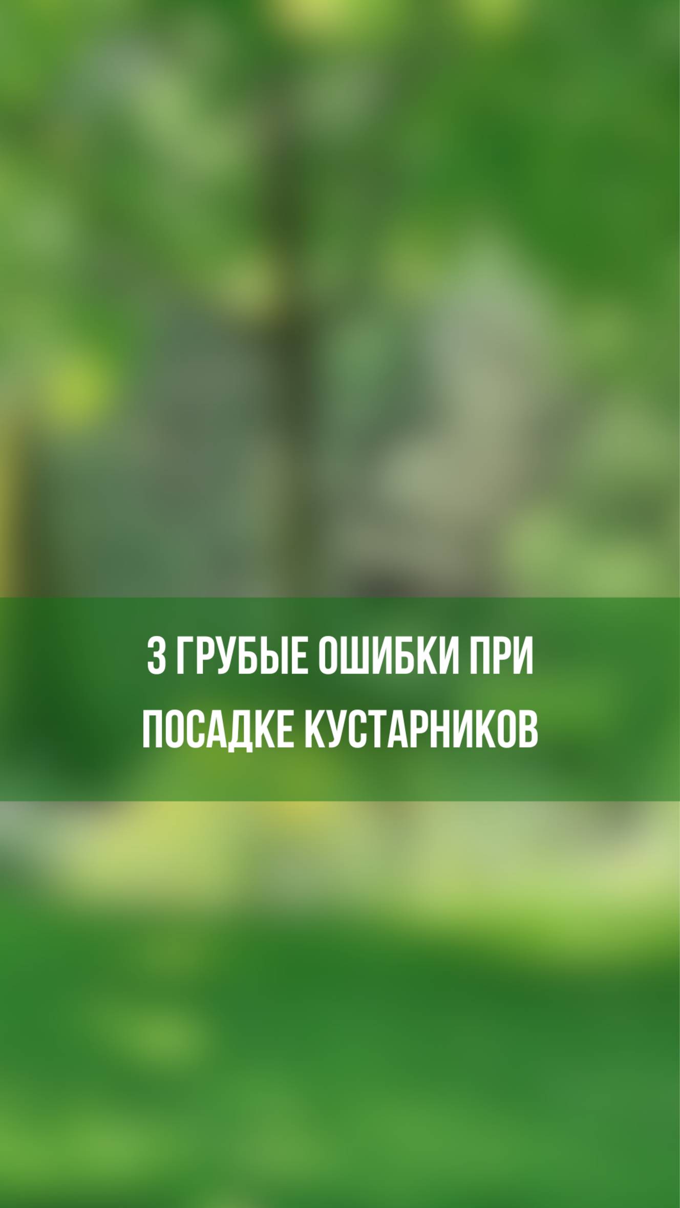 3 грубые ошибки, которые совершает садовод при посадке кустарников!