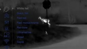 Pulsar Axion 2 XQ35 LRF