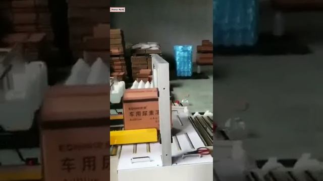 Bottle box tape top bottom sealing machine with PP strapping sealing machine