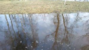 Лашары искупались в одежде прям в воду