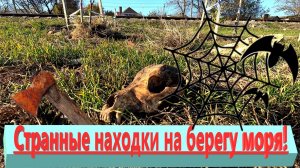Странные находки на берегу моря. Море вымыло  из берега то, что зарыли в прошлом веке. Ейск.