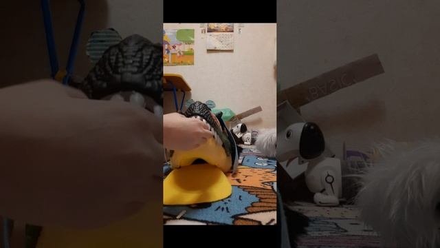 какие виды рапторов бывают?