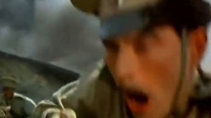 Я любила сокола