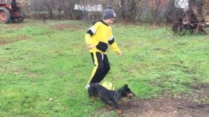 Разминка перед футболом