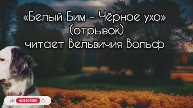 «Белый Бим – Чёрное ухо». Отрывок из повести и краткое вступление.