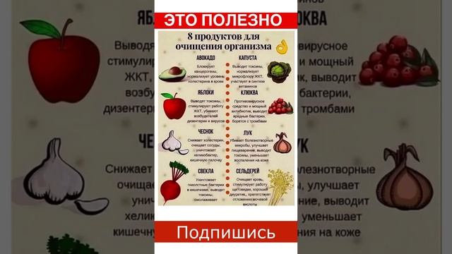 Лучшие продукты для очищения организма ! #очищениеорганизма #здоровье #чисткаорганизма  #пп  #зож