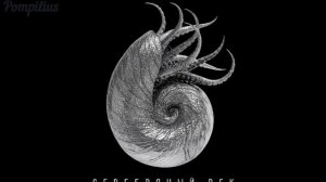 Nautilus Pompilius – Прогулки по воде