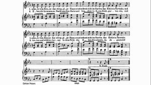 14. Охотник (Der Jäger) — Ф. Шуберт | Исполняет Андрей Киселев