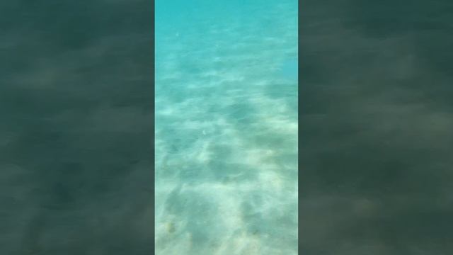 Крым. Коса Южная.15 июля 2024 г. смотреть онлайн