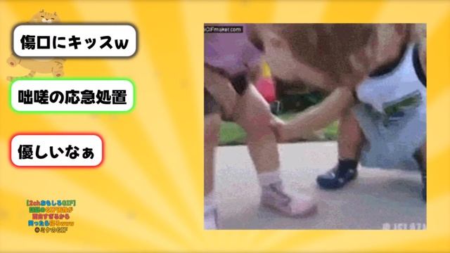 【2ch面白画像】このおもしろGIF画像で笑ったら寝ろｗｗw【ゆっくり解説】【コメ付き】【2chスレ】21