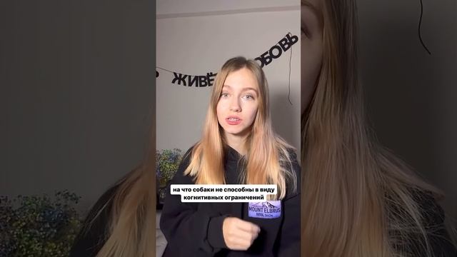 Благодарная собака?