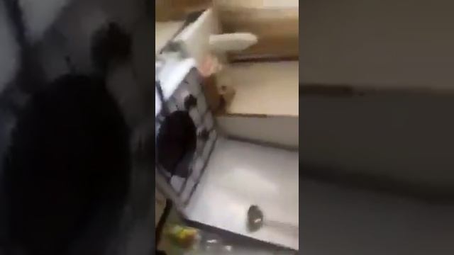 Решил проверить, что будет если в кипящее масло налить воды смотреть онлайн