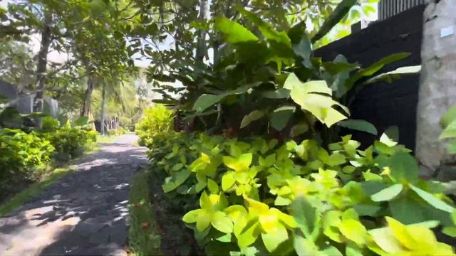 #Bali #Seminyak W Retreat & Spa Bali — Seminyak | scenic baggy ride to villas zone. смотреть онлайн