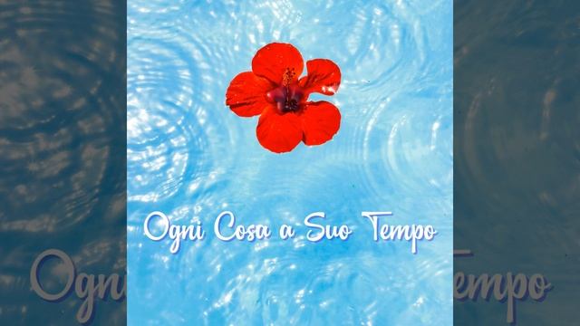 Ogni Cosa a Suo Tempo смотреть онлайн