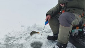 Рыбалка п.Тарма 1 часть.