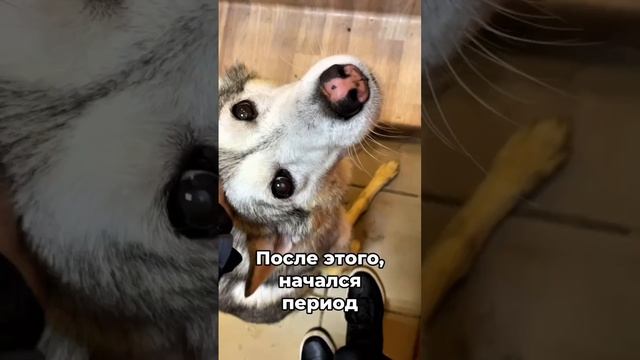 Сломанная жизнь | Данди
