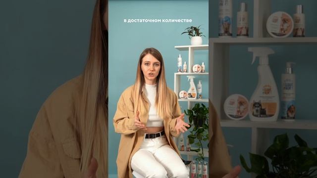 Знакомство первой собаки с новой #собака #кинолог #воспитаниесобаки