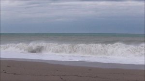 Утренняя сводка погоды 21.11.24г. с пляжа Любимовка-2