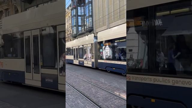 Geneva trams :)