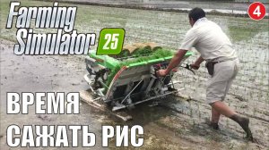 Farming Simulator 25 - Время сажать рис